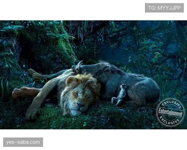 南非队2026世界杯前景分析：非洲雄狮能否重现本土奇迹